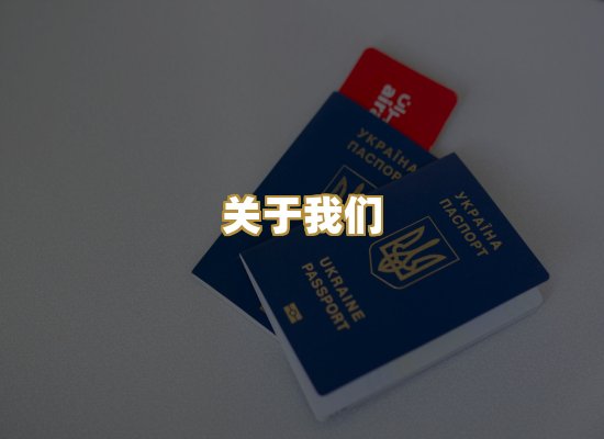 关于我们